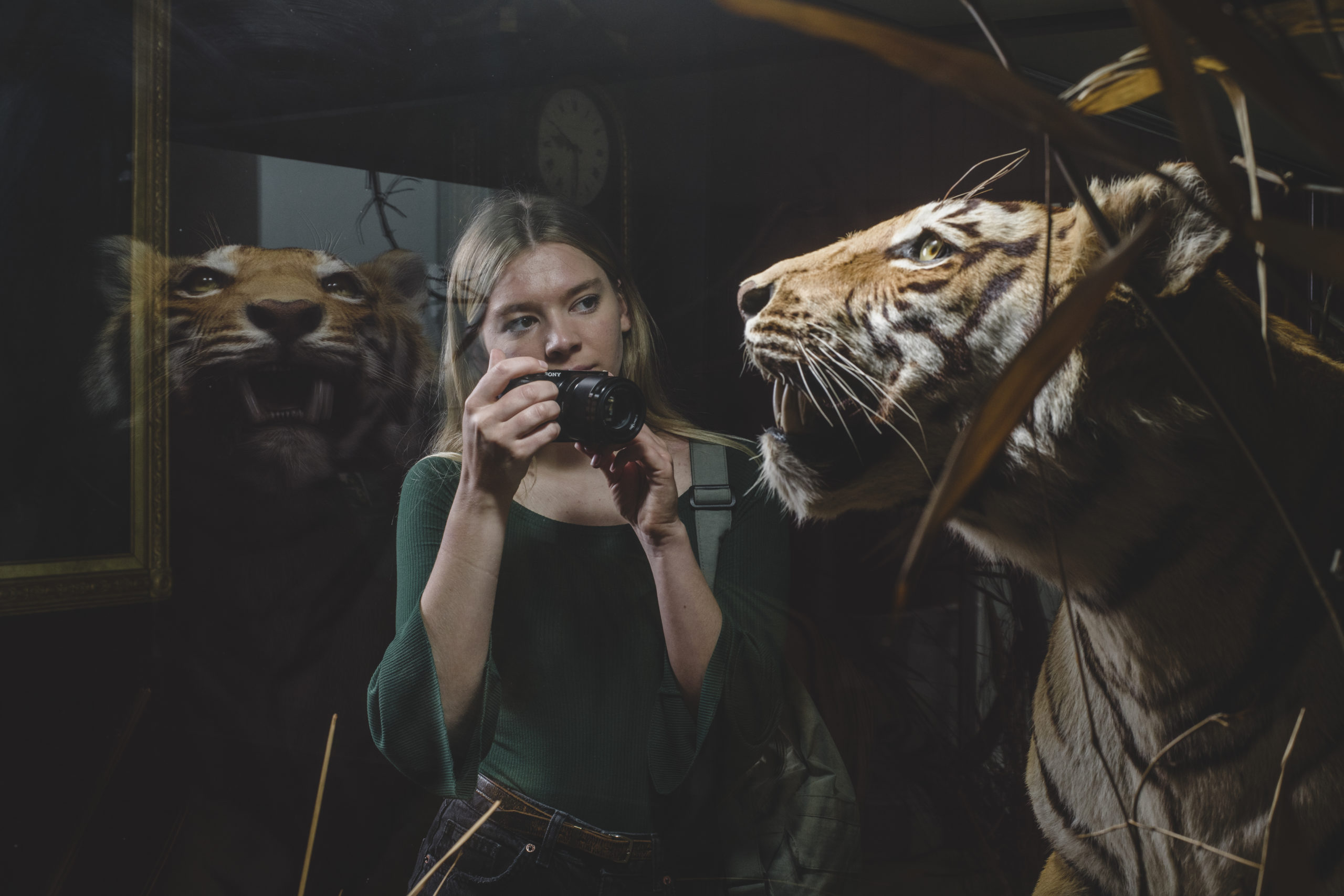 Woman taking a photograph of the tiger from the RAMM's collection