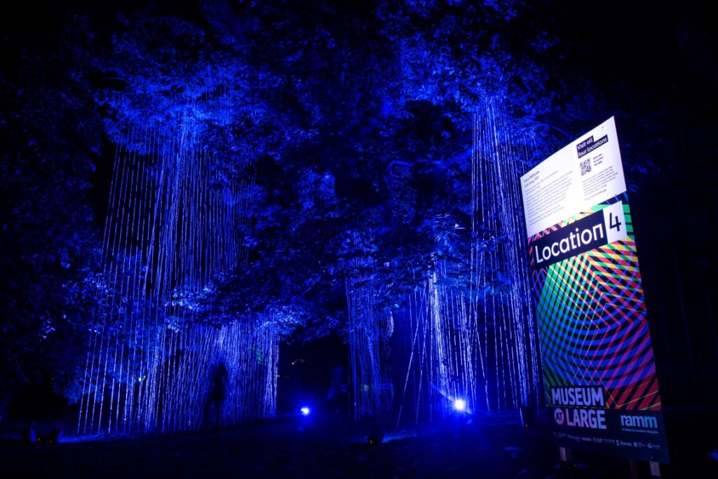 One of the Museum at Large installations. To the right is a sign saying 'Location 4' with some information about the art. It's night time, and the trees are lit with blue lights on the ground. Silver ribbons hang from the trees.