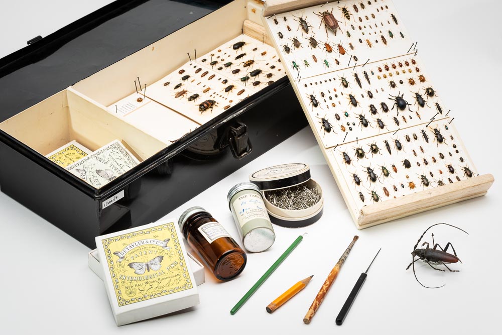 Part of Nigel Tucker's beetle collection. A box is open with some pinned specimens inside. A card with pinned specimens is leaning on the box. In front of the box is a small box of pins, a pencil, and some small tools