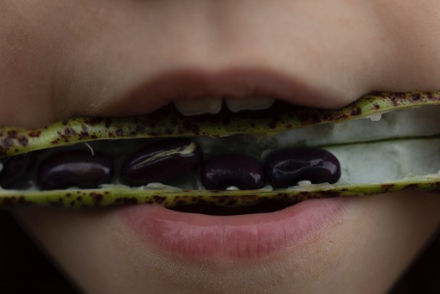 Close-up photograph of a child's mouth holding a seed pod with seeds in