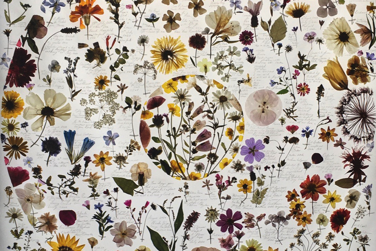 A detail view of Amy Shelton's work 'Biophilia'; lots of colourful pressed flowers
