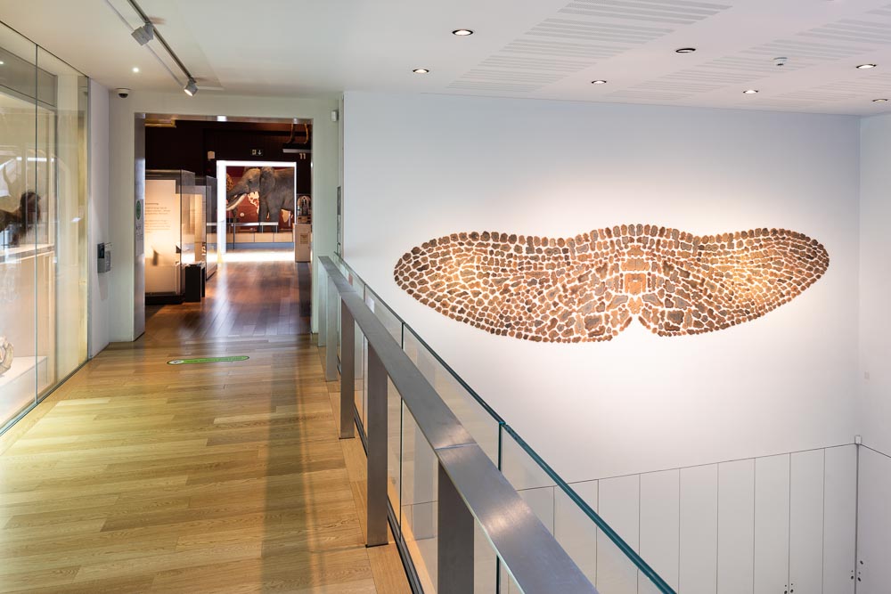 Ceramic wall sculpture on permanent display entitled Wing by Peter Randall-Page