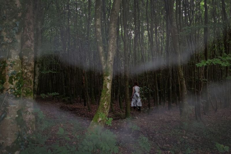 Misty image of girl looking up into the trees in a woodland.