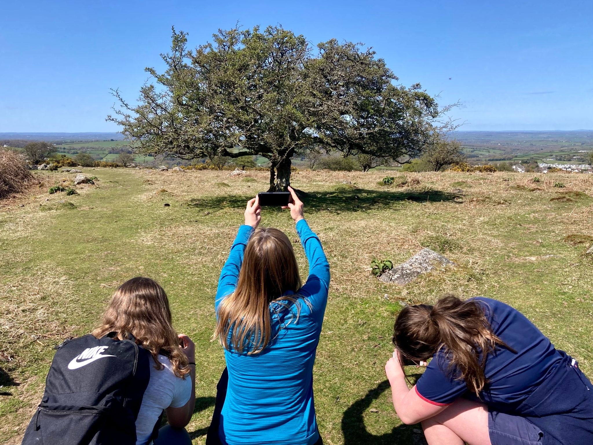 A woman taking a picture of a tree flanked by two older children.